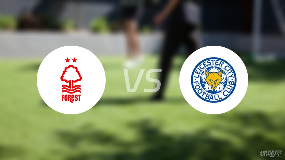 为什么高手更相信概率（高手为何更倚重概率）