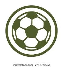 中超国内球员限薪500万元 俱乐部签“阴阳合同”将降级